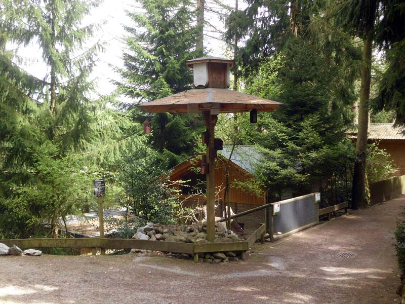 Wildpark Willingen