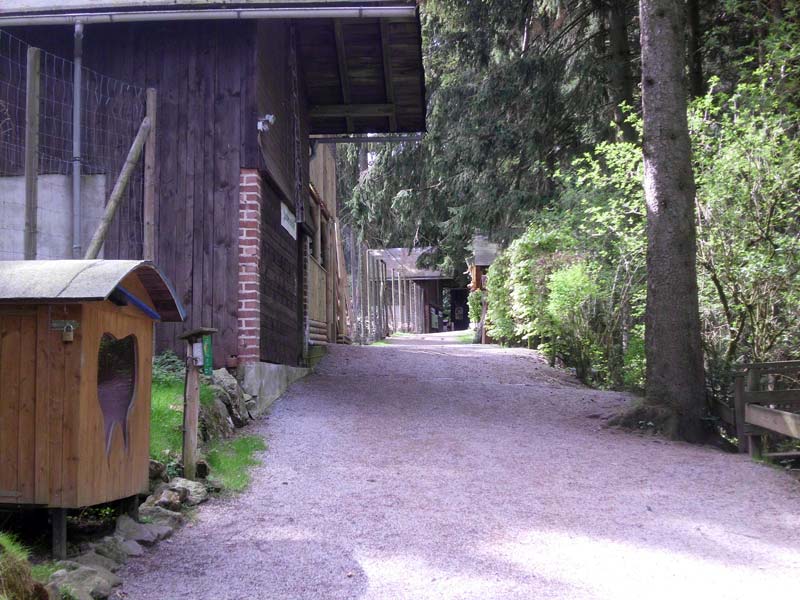 Wildpark Willingen