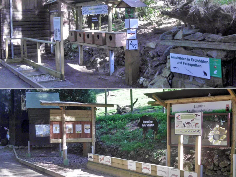 Interaktiver Waldlehrpfad Wildpark Willingen
