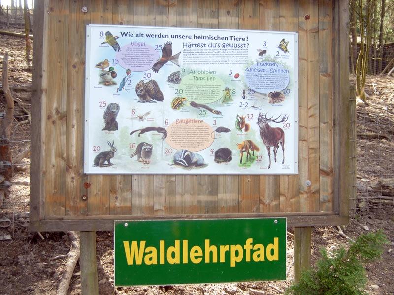 Waldlehrpfad Wildpark Willingen